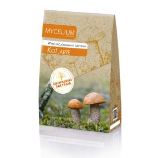 Compra MICELIO BOLETOS ABEDUL Surtido de género Leccinum (120 c.c.) en la tienda online Fito Agrícola