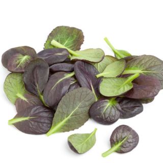 Compra MOSTAZA KOMATSUNA ROJA BABY LEAF ECOLÓGICA (50 gr.). en la tienda online Fito Agrícola