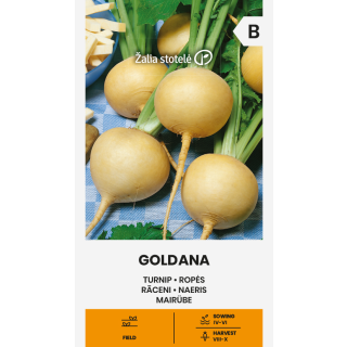 Compra NABO GOLDANA (3 gr. - Cerca de 1200 Semillas). en la tienda online Fito Agrícola