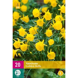 Compra NARCISOS GOLDEN BELLS XXL en la tienda online Fito Agrícola