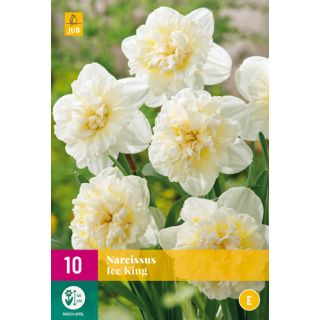 Compra NARCISOS ICE KING XXL en la tienda online Fito Agrícola