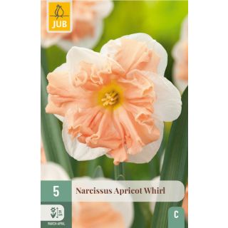 Compra NARCISOS APRICOT WHIRL en la tienda online Fito Agrícola