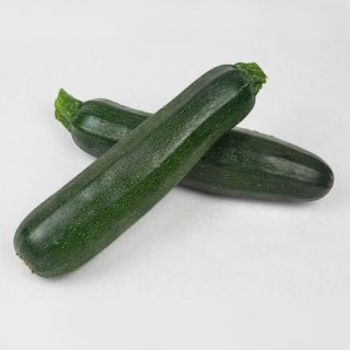 Compra CALABACÍN NERITA F1 (1.000 Semillas) en la tienda online Fito Agrícola