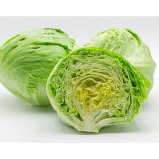 Compra LECHUGA NISIDA Píldora Sphera (25.000 Semillas) en la tienda online Fito Agrícola