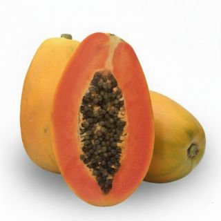 Compra PAPAYA IUVE en la tienda online Fito Agrícola