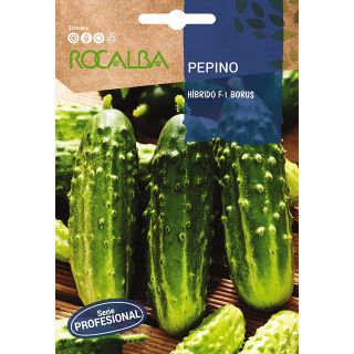 Compra PEPINO BORUS F-1 (100 gr.). en la tienda online Fito Agrícola