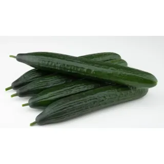 Compra PEPINO CALADO F1 (1.000 Semillas) en la tienda online Fito Agrícola