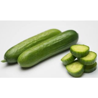 Compra PEPINO EQUIPE F1 (1.000 Semillas) en la tienda online Fito Agrícola