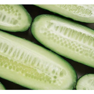 Compra PEPINO FREIRE F1 (1.000 Semillas) en la tienda online Fito Agrícola