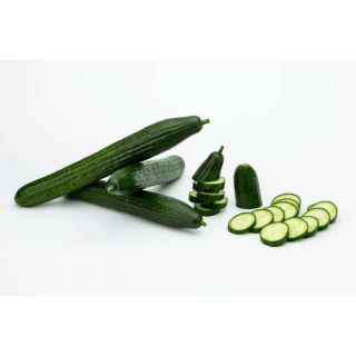 Compra PEPINO IZAL F1 (1.000 Semillas). en la tienda online Fito Agrícola