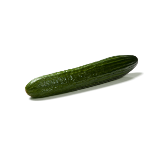 Compra PEPINO NAIROBI F-1 (1.000 Semillas) en la tienda online Fito Agrícola