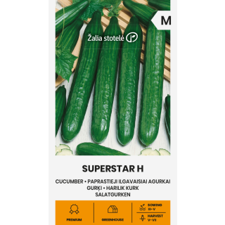Compra PEPINO SUPERSTAR F1 (0,5 gr. - Cerca de 20 Semillas). en la tienda online Fito Agrícola