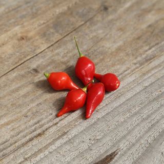 Compra PIMENTO PETIT BEC BIQUINHO AB (30 Semillas). en la tienda online Fito Agrícola