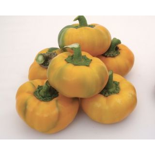 Compra PIMIENTO TOPEPO GIALLO (ÑORA) (5.000 Semillas) en la tienda online Fito Agrícola