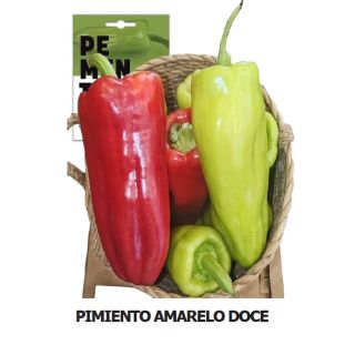 Compra PIMIENTO AMARELO DOCE (50 Semillas). en la tienda online Fito Agrícola