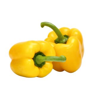 Compra PIMIENTO RITMICO RZ F1 Precisión (1000 semillas). en la tienda online Fito Agrícola