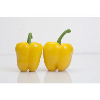 Compra PIMIENTO SORAYA F-1 (1.000 Semillas). en la tienda online Fito Agrícola