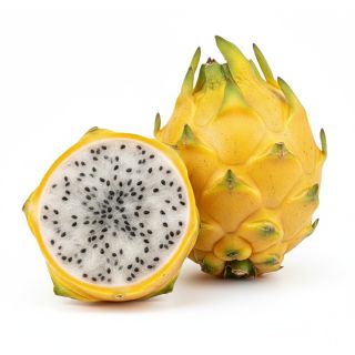 Compra PITAHAYA COLOMBIANA en la tienda online Fito Agrícola