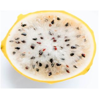 Compra PITAHAYA GOLDEN YELLOW en la tienda online Fito Agrícola