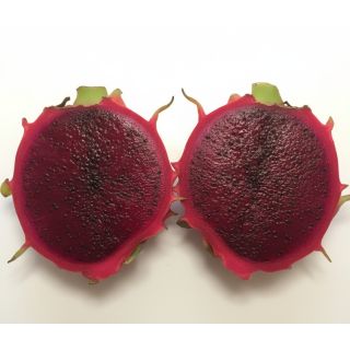 Compra PITAHAYA HIBRYDUM en la tienda online Fito Agrícola