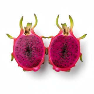Compra PITAHAYA JC01 en la tienda online Fito Agrícola