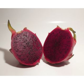 Compra PITAHAYA JC02 en la tienda online Fito Agrícola