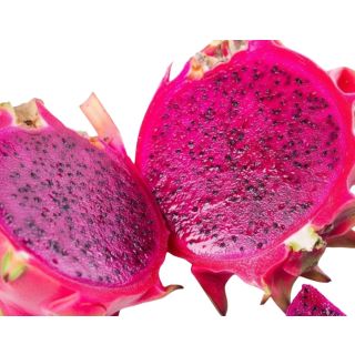 Compra PITAHAYA TESORO en la tienda online Fito Agrícola