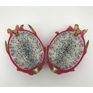 Compra PITAHAYA UNDATUS en la tienda online Fito Agrícola