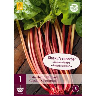 Compra RUIBARBO GLASKIN'S PERPETUAL en la tienda online Fito Agrícola