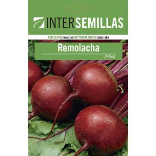 Compra REMOLACHA DETROIT 2 ECOLOGICA (500 gr.) en la tienda online Fito Agrícola