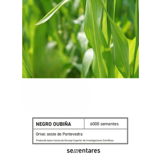 Compra MAÍZ NEGRO DE OUBIÑA (1 Kgr. - Cerca de 2.500 Semillas) en la tienda online Fito Agrícola