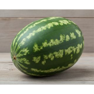 Compra SANDÍA MELANIA F1 (1.000 Semillas). en la tienda online Fito Agrícola