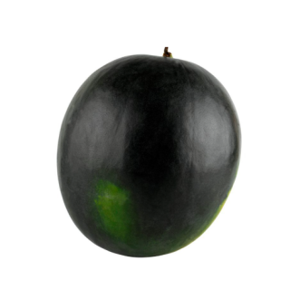 Compra SANDÍA TENTACIÓN F1 (1.000 Semillas) en la tienda online Fito Agrícola