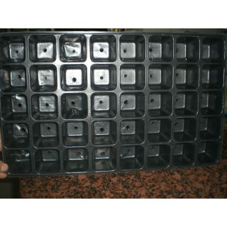Compra BANDEJA PLÁSTICO NEGRO DE 40 ALVEOLOS (1 Unid.) en la tienda online Fito Agrícola