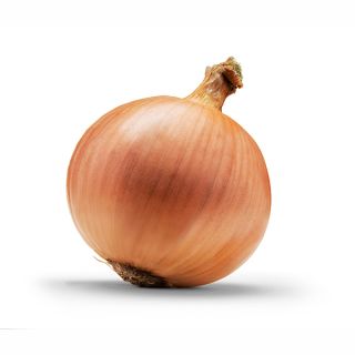 Compra CEBOLLA CAMPO LINDO F1 (250.000 Semillas). en la tienda online Fito Agrícola