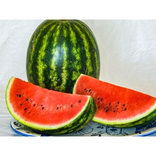 Compra SANDÍA SENSEI F1 (1.000 Semillas). en la tienda online Fito Agrícola