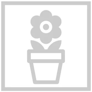 Compra TAGETE ATON ORANGE FLAME Peliculada (1000 Semillas). en la tienda online Fito Agrícola