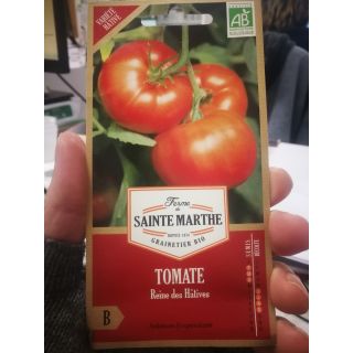 Compra TOMATE REINE DES HATIVES AB (50 Semillas). en la tienda online Fito Agrícola