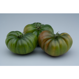 Compra TOMATE DUMAS F-1 (1.000 Semillas). en la tienda online Fito Agrícola