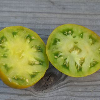 Compra TOMATE GREEN MOLDOVAN AB (50 Semillas). en la tienda online Fito Agrícola