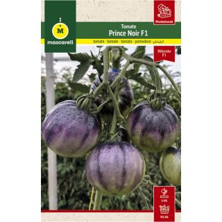 Compra TOMATE PRINCE NOIR F1 (1.000 Semillas) en la tienda online Fito Agrícola