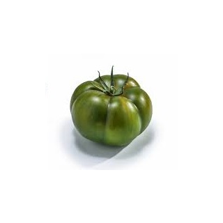 Compra TOMATE ADRIATYCO F1 (1.000 Semillas) en la tienda online Fito Agrícola