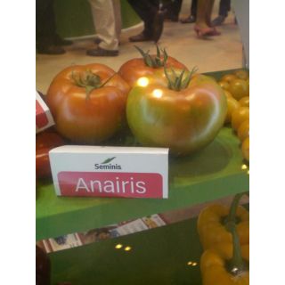 Compra TOMATE ANAIRIS F1 Pildorado (5.000 Semillas) en la tienda online Fito Agrícola