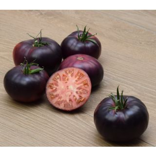 Compra TOMATE BARBA AZUL F-1 (1000 Semillas) en la tienda online Fito Agrícola