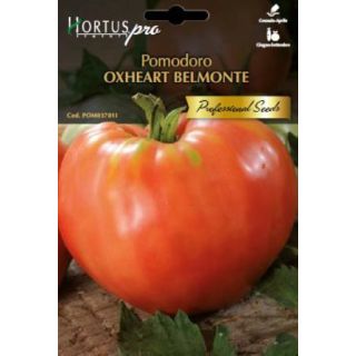 Compra TOMATE OXHEART Sel. Belmonte (0,25 gr.) en la tienda online Fito Agrícola
