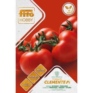 Compra TOMATE CLEMENTE F1 (50 Semillas). en la tienda online Fito Agrícola