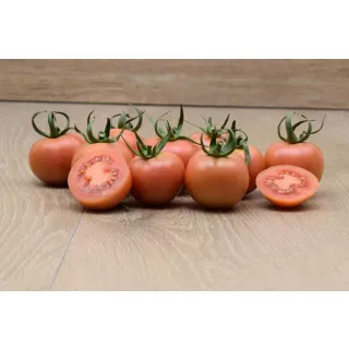 Compra TOMATE COLGATOM F-1 (1.000 Semillas) en la tienda online Fito Agrícola