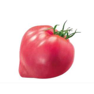 Compra TOMATE DOLCECUORE F1 (1000 Semillas). en la tienda online Fito Agrícola