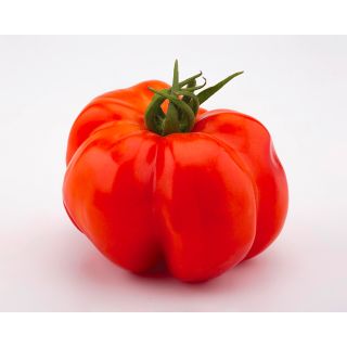 Compra TOMATE EASY TOM RED F1 (1.000 Semillas). en la tienda online Fito Agrícola