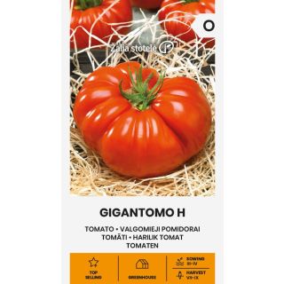 Compra TOMATE GIGANTOMO F1 (10 Semillas). en la tienda online Fito Agrícola
